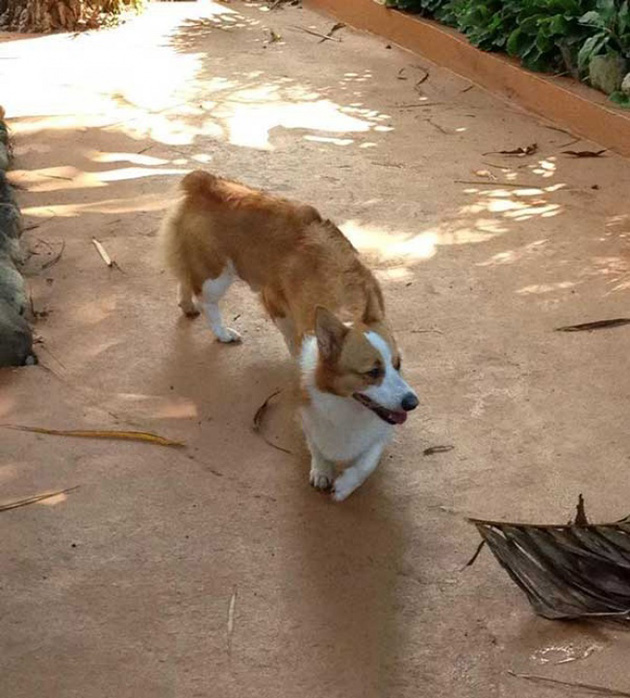 wrong panoramic photos