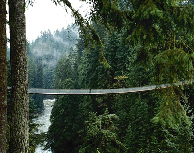 Capilano Suspension Bridge, Canada