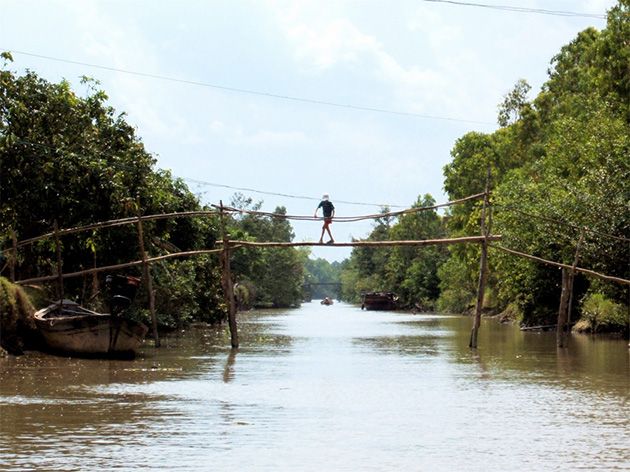 Monkey Bridges, Vietnam