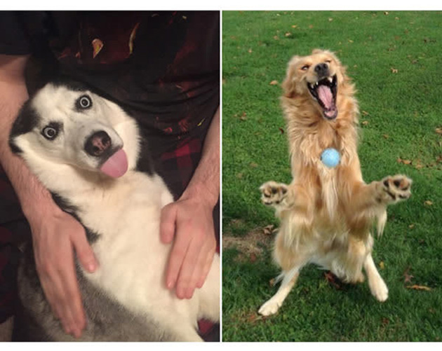 25 Photos That Prove Not All Pets Are Photogenic…_04