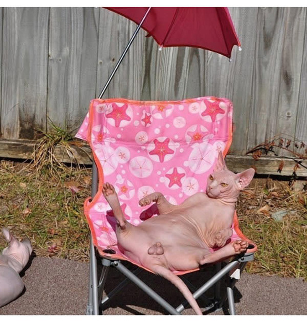 25 Photos That Prove Not All Pets Are Photogenic…_07