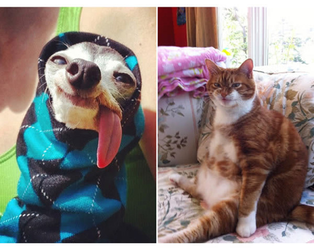 25 Photos That Prove Not All Pets Are Photogenic…_14