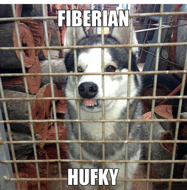 25 Photos That Prove Not All Pets Are Photogenic…_17