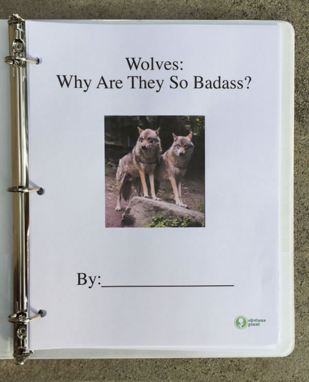 A guy left this free biology report about wolves outside a Los Angeles high school_02
