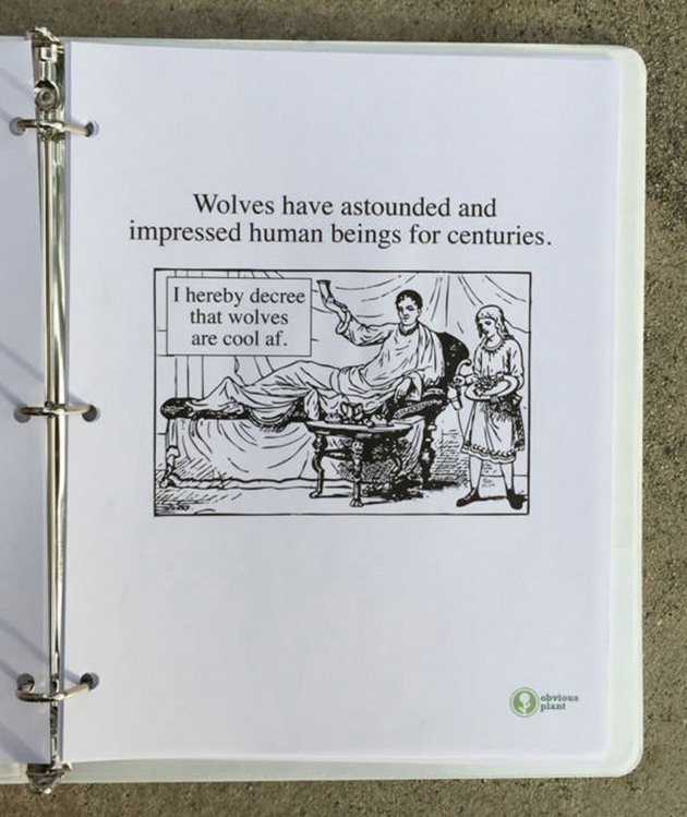 A guy left this free biology report about wolves outside a Los Angeles high school_03