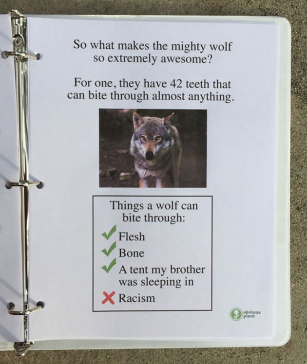 A guy left this free biology report about wolves outside a Los Angeles high school_05