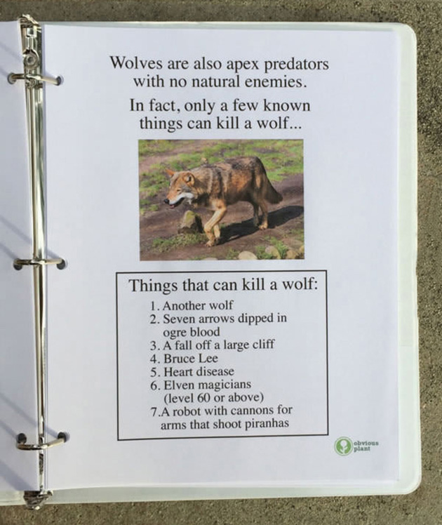 A guy left this free biology report about wolves outside a Los Angeles high school_06