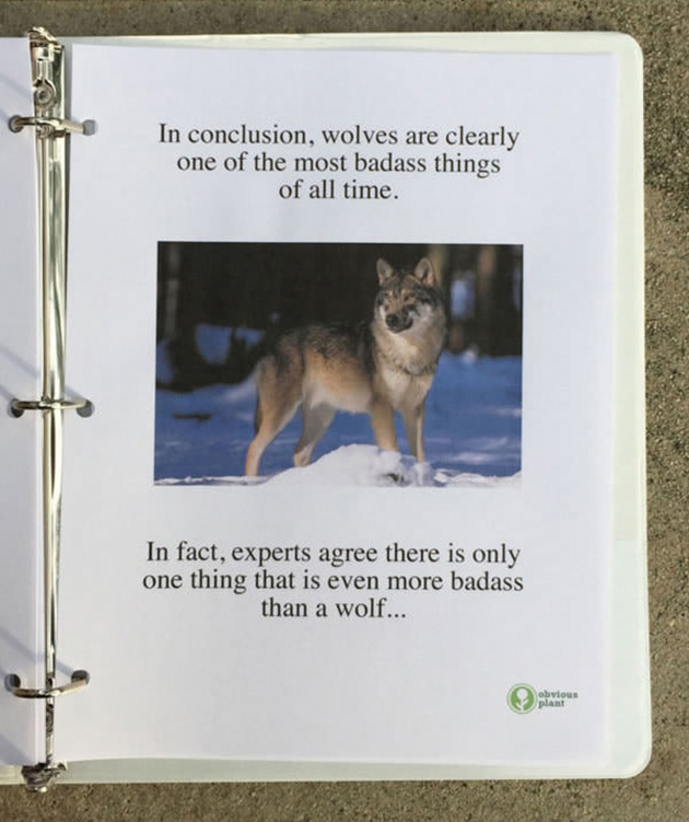 A guy left this free biology report about wolves outside a Los Angeles high school_10
