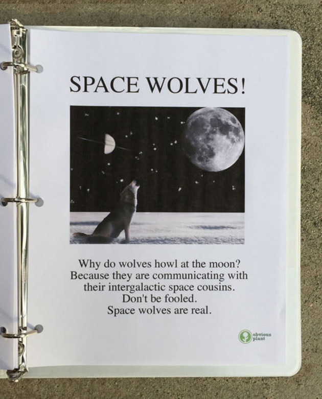 A guy left this free biology report about wolves outside a Los Angeles high school_11