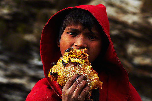 Honey Hunting in Nepal