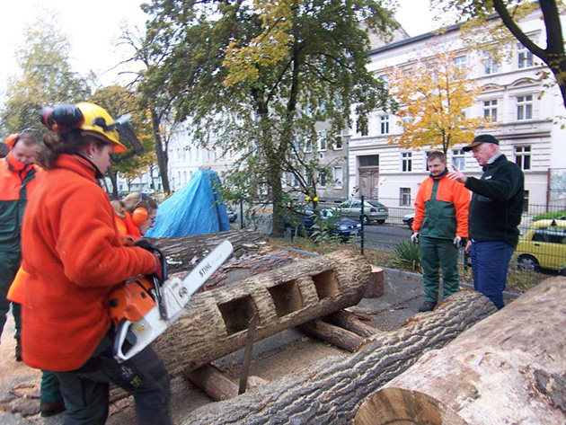 BAUFACHFRAU-tree-bookshelf-Berlin-5