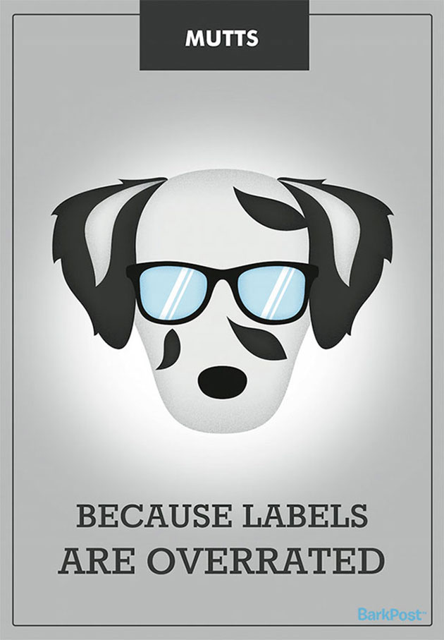 dog-breed-illustrations-labels-laura-palumbo-3