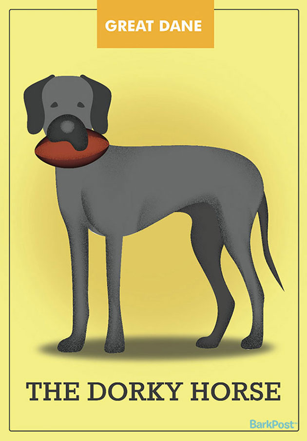 dog-breed-illustrations-labels-laura-palumbo-9
