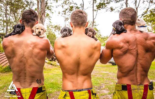 hot firefighters with puppies calendar charity australia