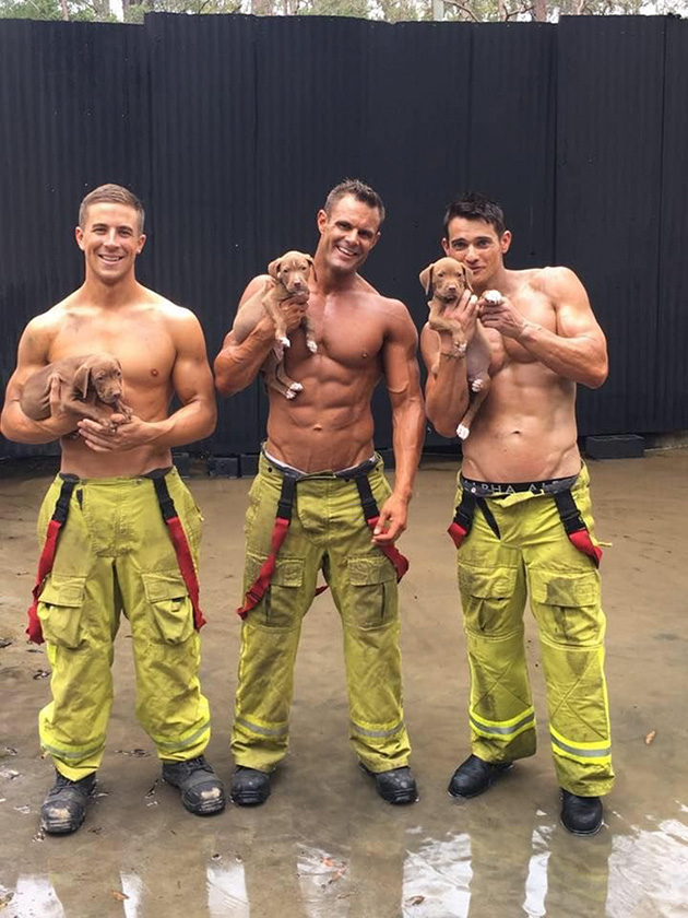 hot firefighters with puppies calendar charity australia