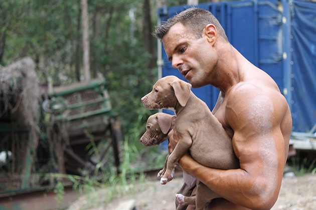 hot firefighters with puppies calendar charity australia