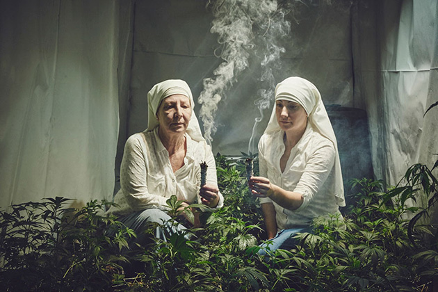 nuns grow marjuana