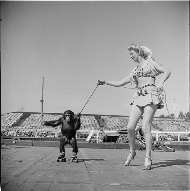 Stanley Kubrick’s Photos