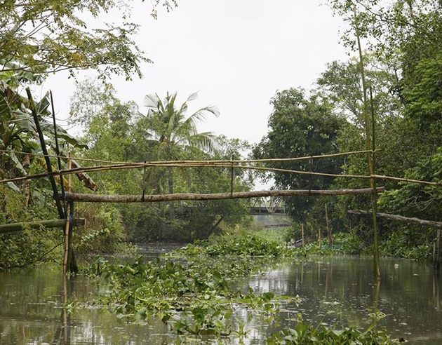 Monkey Bridges, Vietnam
