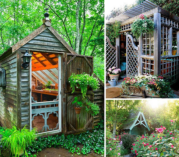 she sheds garden