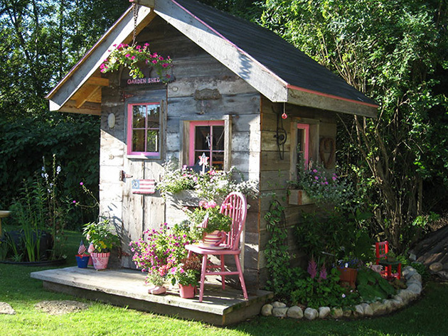 she sheds garden