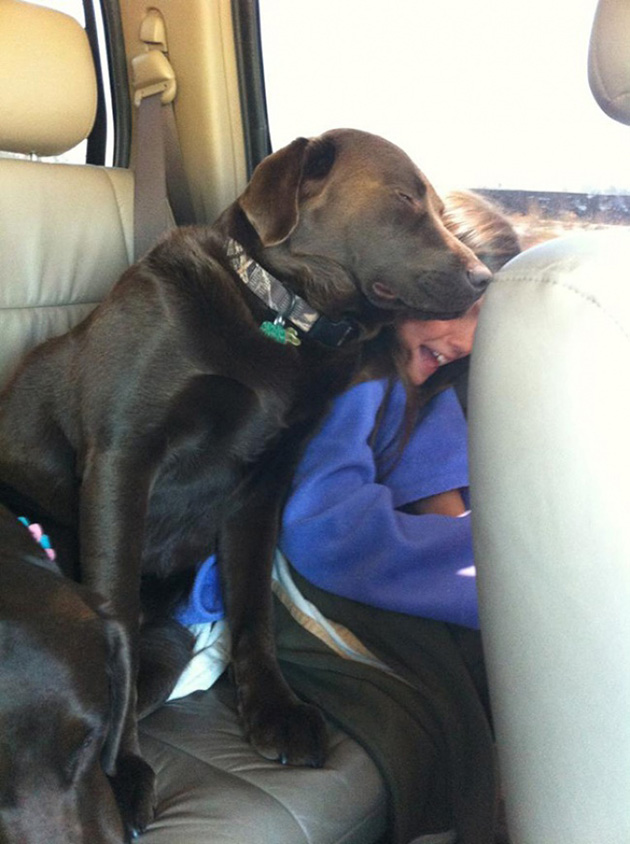 Dogs No Understanding of Personal Space