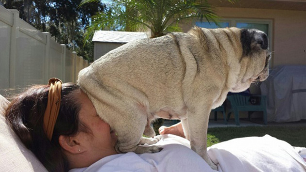 Dogs No Understanding of Personal Space