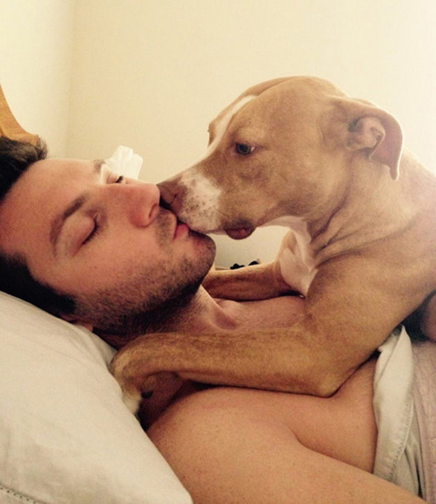 Dogs No Understanding of Personal Space