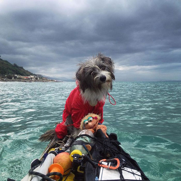 Im-kayaking-along-the-Mediterranean-Sea-since-three-years-and-Im-taking-my-found-dog-with-me-2