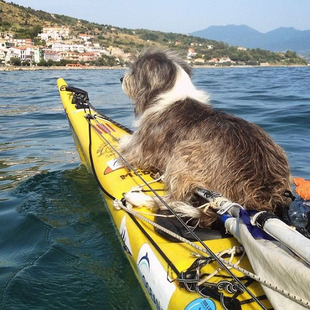 Im-kayaking-along-the-Mediterranean-Sea-since-three-years-and-Im-taking-my-found-dog-with-me-4