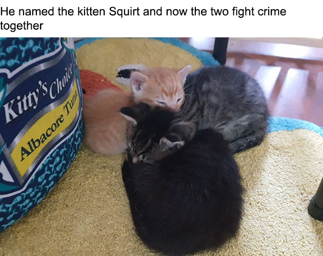 cop-rescues-kitten-donut-operator-3