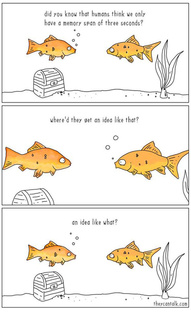 If Animals Could Talk