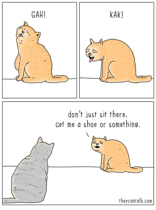 If Animals Could Talk