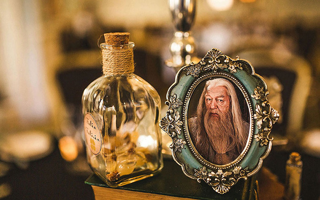 harry potter themed wedding