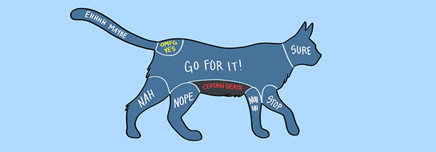 How to pet animals