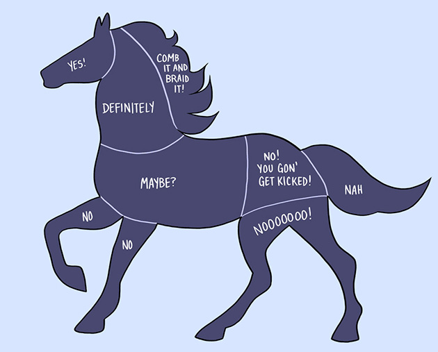 How to pet animals