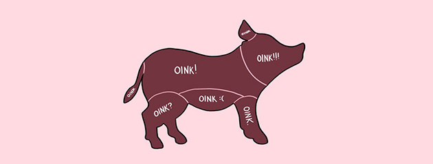 How to pet animals
