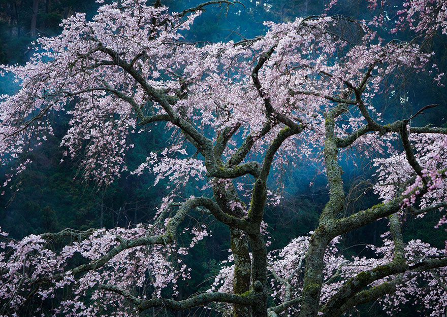 national geographic travel photographer contest 2016