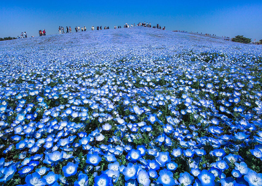 national geographic travel photographer contest 2016