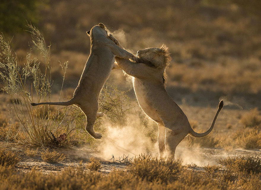 national geographic travel photographer contest 2016