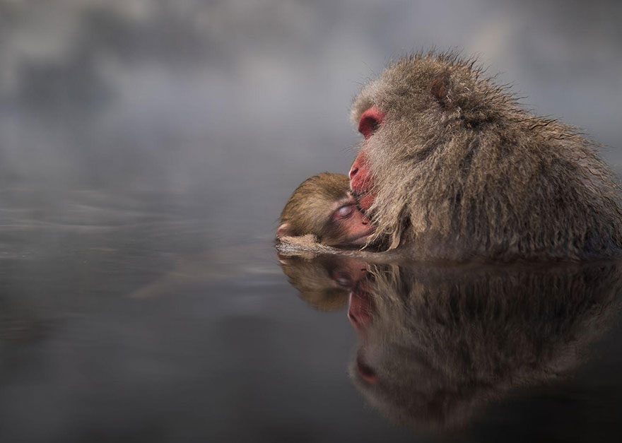 national geographic travel photographer contest 2016