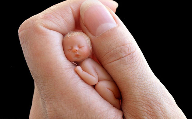 Babies That Fit Inside The Palm Of Your Hand By Camille Allen