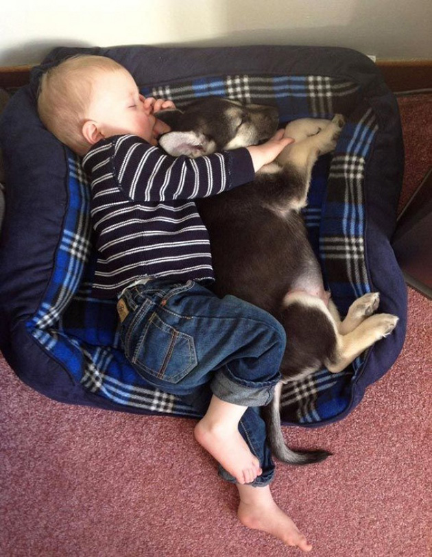 Cute-Sleeping-Babies