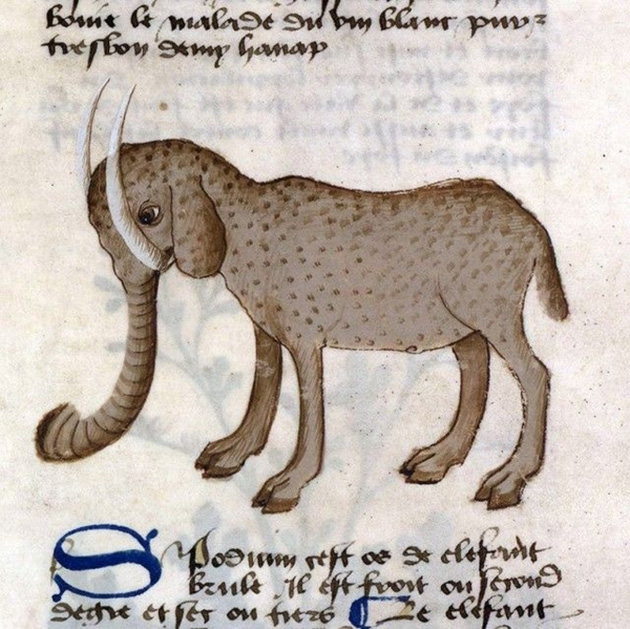 In the Middle Ages, artists knew about the existence of elephants, but they had only the descriptions of travelers to go by. 10