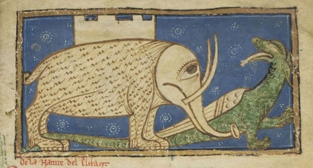 In the Middle Ages, artists knew about the existence of elephants, but they had only the descriptions of travelers to go by. 4