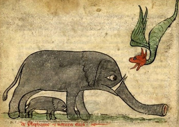 In the Middle Ages, artists knew about the existence of elephants, but they had only the descriptions of travelers to go by. 5