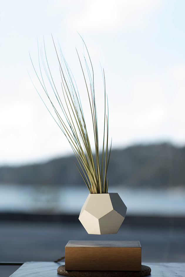 Magnetized Planters