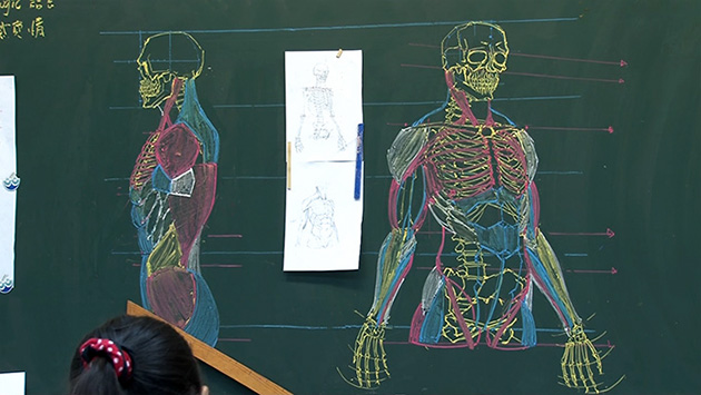chinese teacher anatomical chalkboard drawings