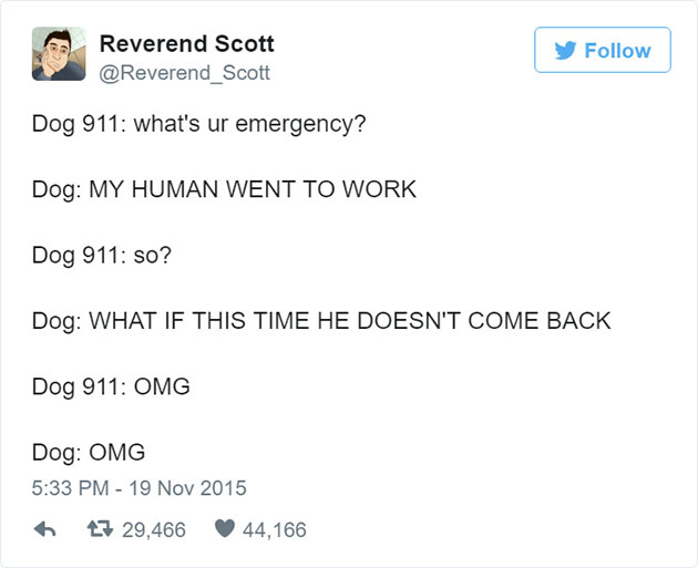 funny-dog-emergency-calls-reverend-scott-1
