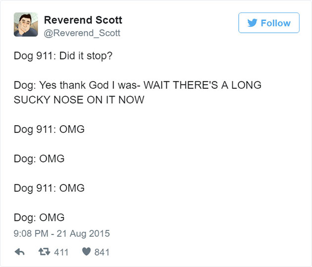 funny-dog-emergency-calls-reverend-scott-10